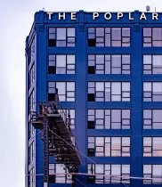 The Poplar Complete 14 Web