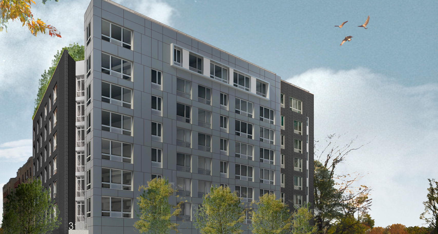 Webster Green 1