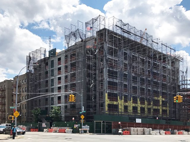 Webster Green 3