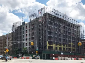Webster Green 3